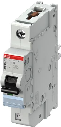 ABB Leitungsschutzschalter Typ K, 1-polig 6A 250V SMISSLINE TP DIN-Schienen-Montage