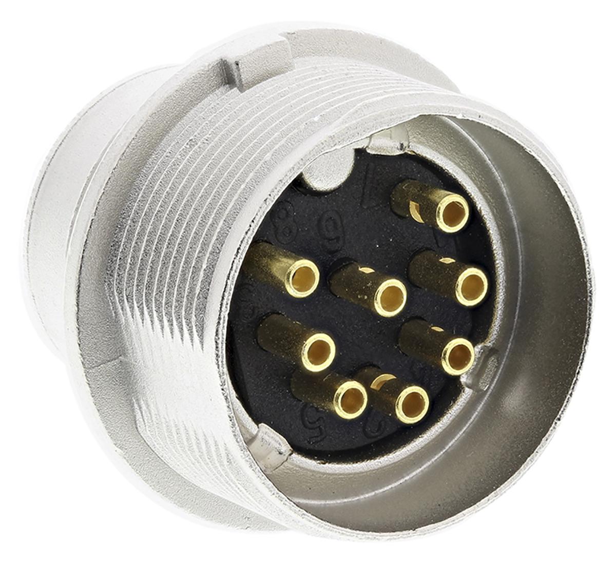 Lumberg SFV M16 DIN-Stecker Gerade 8-polig, 60 V ac / 5A IP40, Lötanschluss Tafelmontage