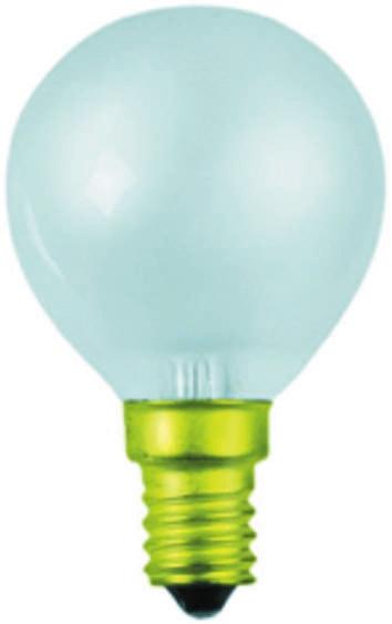 Produktfoto 1 von Werma 895 Glühlampe 230 V, E14 Sockel Klar, Glaskolben, 75 x 45 mm, Glühlampe