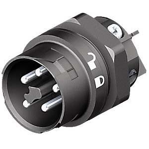 Wieland Stecker RST Mini Schraub-Anschlussleitung, Mini-Steckverbinder, Kontakte: 5, Anz.Ausl. 1, Tafelmontage, 16A,