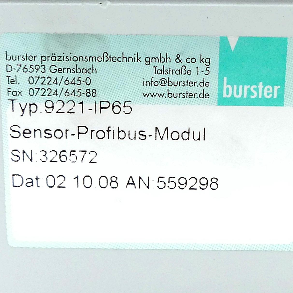 Produktfoto 2 von BURSTER Sensor-Profi-Modul