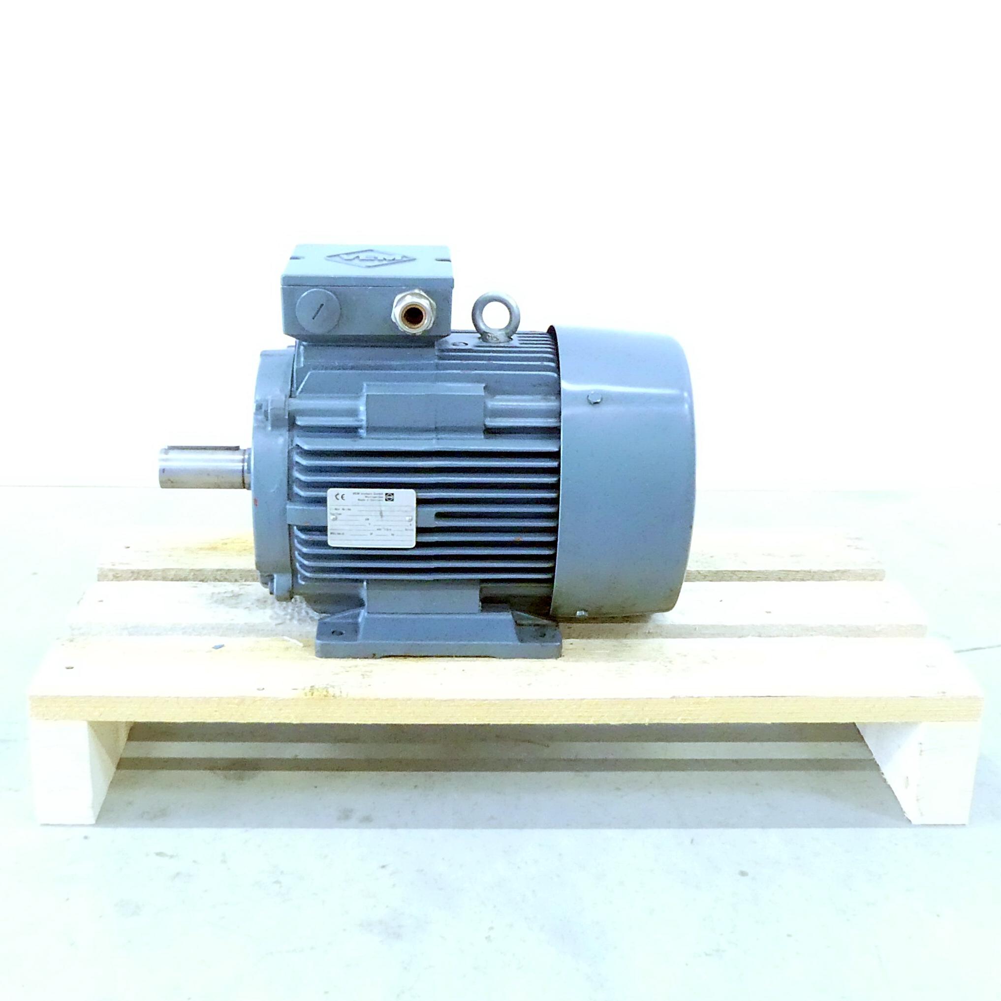 Produktfoto 5 von VEM MOTORS Drehstrommotor DINTEN 60034-1F