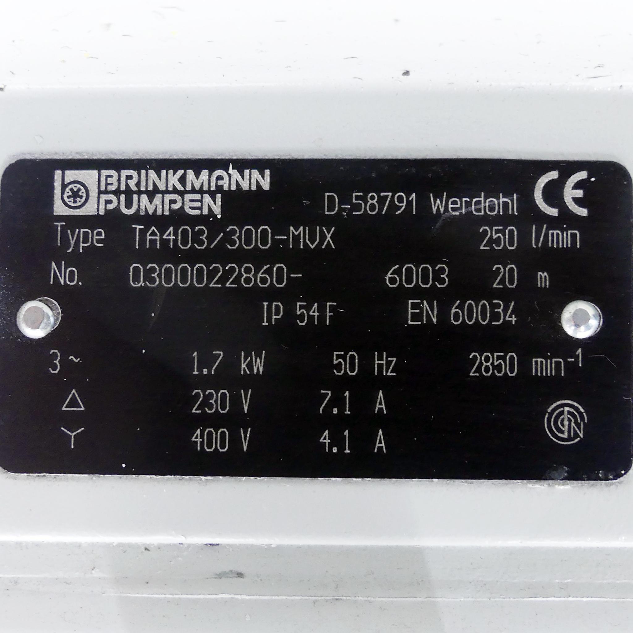 Produktfoto 2 von BRINKMANN PUMPS Tauchpumpe