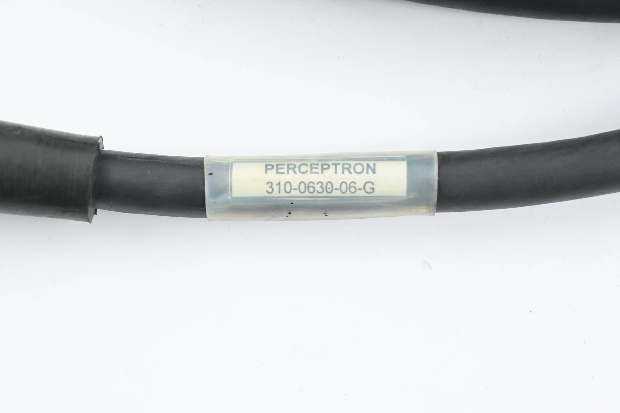 Produktfoto 1 von Perceptron Verbindungskabel 310-0630-06-G