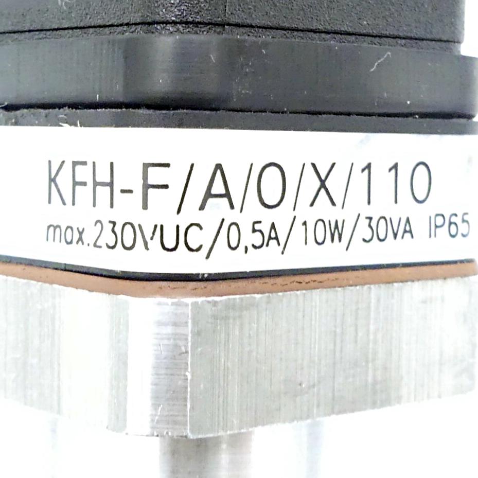 Produktfoto 2 von WOERNER Füllstandsensor KFH-F/A/0/X/110