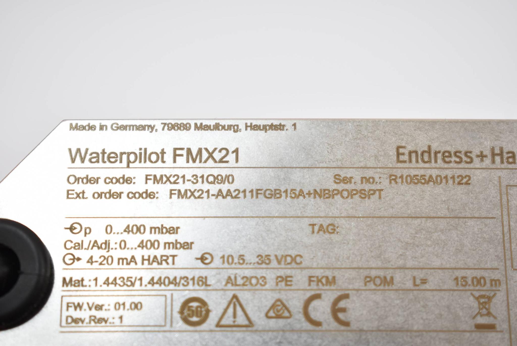 Endress+Hauser Waterpilot FMX21 Füllstandsonde FMX21-31Q9/0