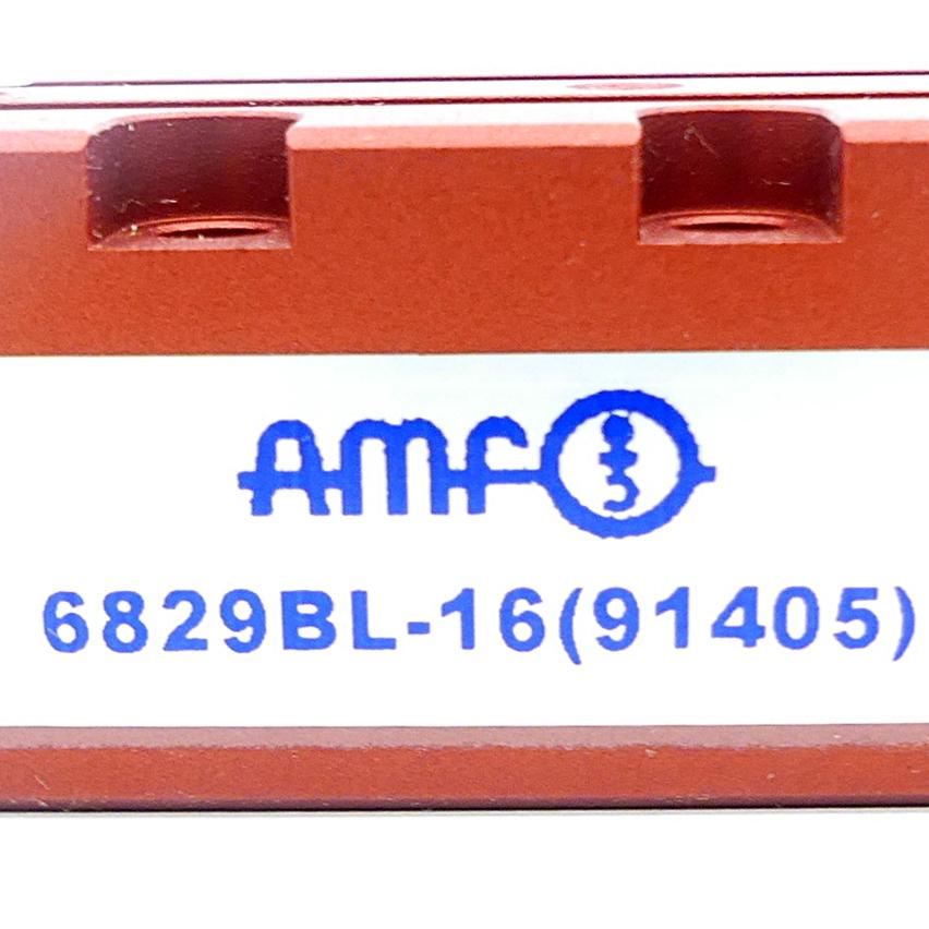 Produktfoto 2 von AMF Schwenkspanner 6829BL-16