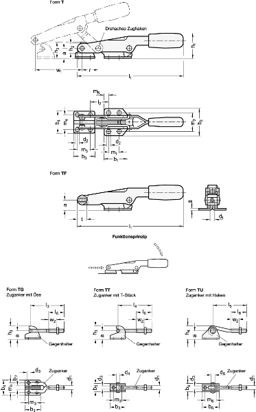 Produktfoto 2 von 480GN850.1-500-T-NI GANTER Edelstahl Verschluß-Spanner