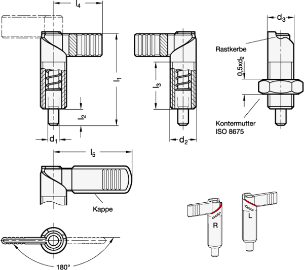 Produktfoto 2 von 480GN721.1-6-M12X1,5-LBK GANTER Rastriegel, links mit Rastung + Kappe